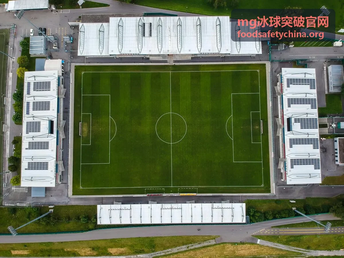 mg冰球突破官网奖励档位图示